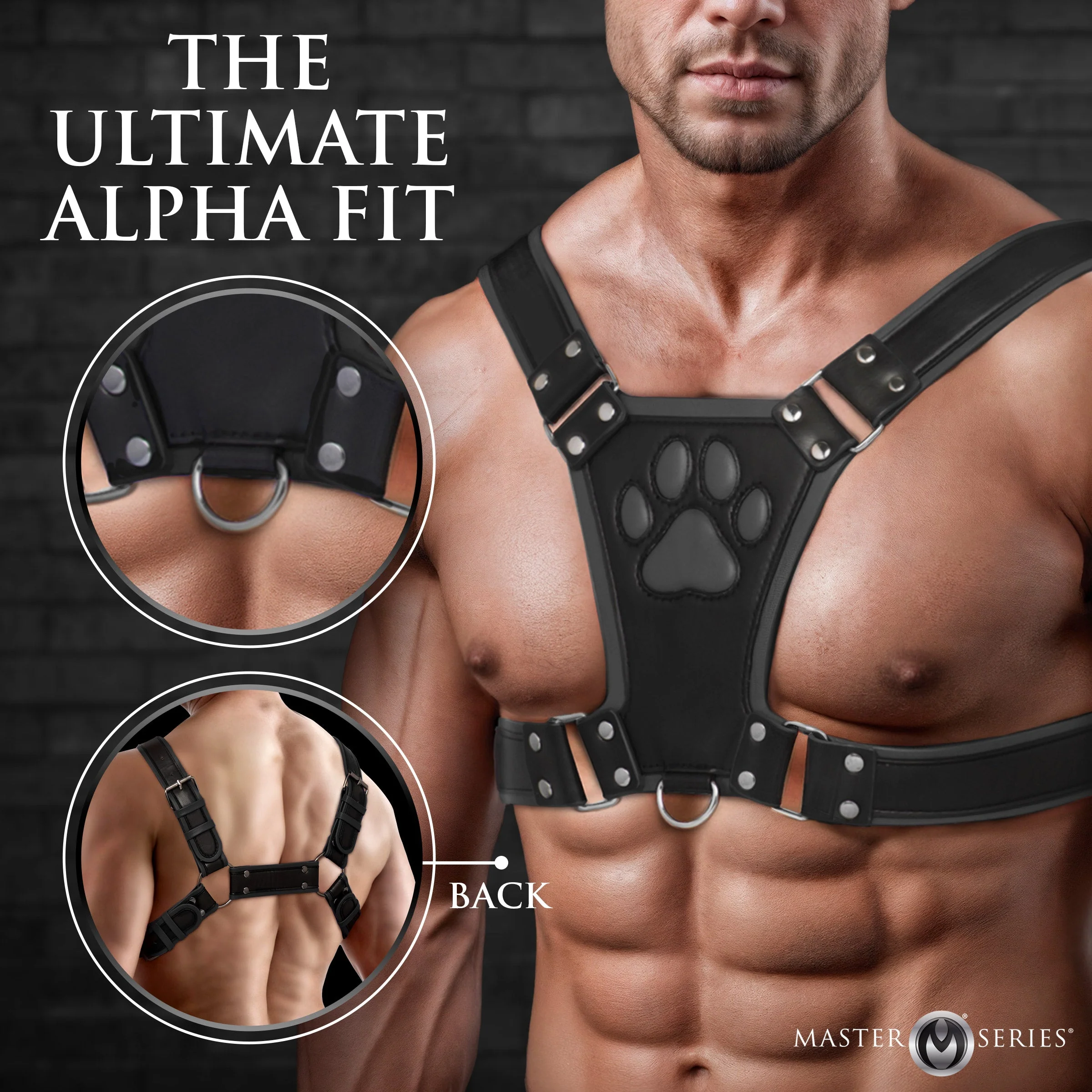 Alpha Pup Bulldog Harness - Image 3