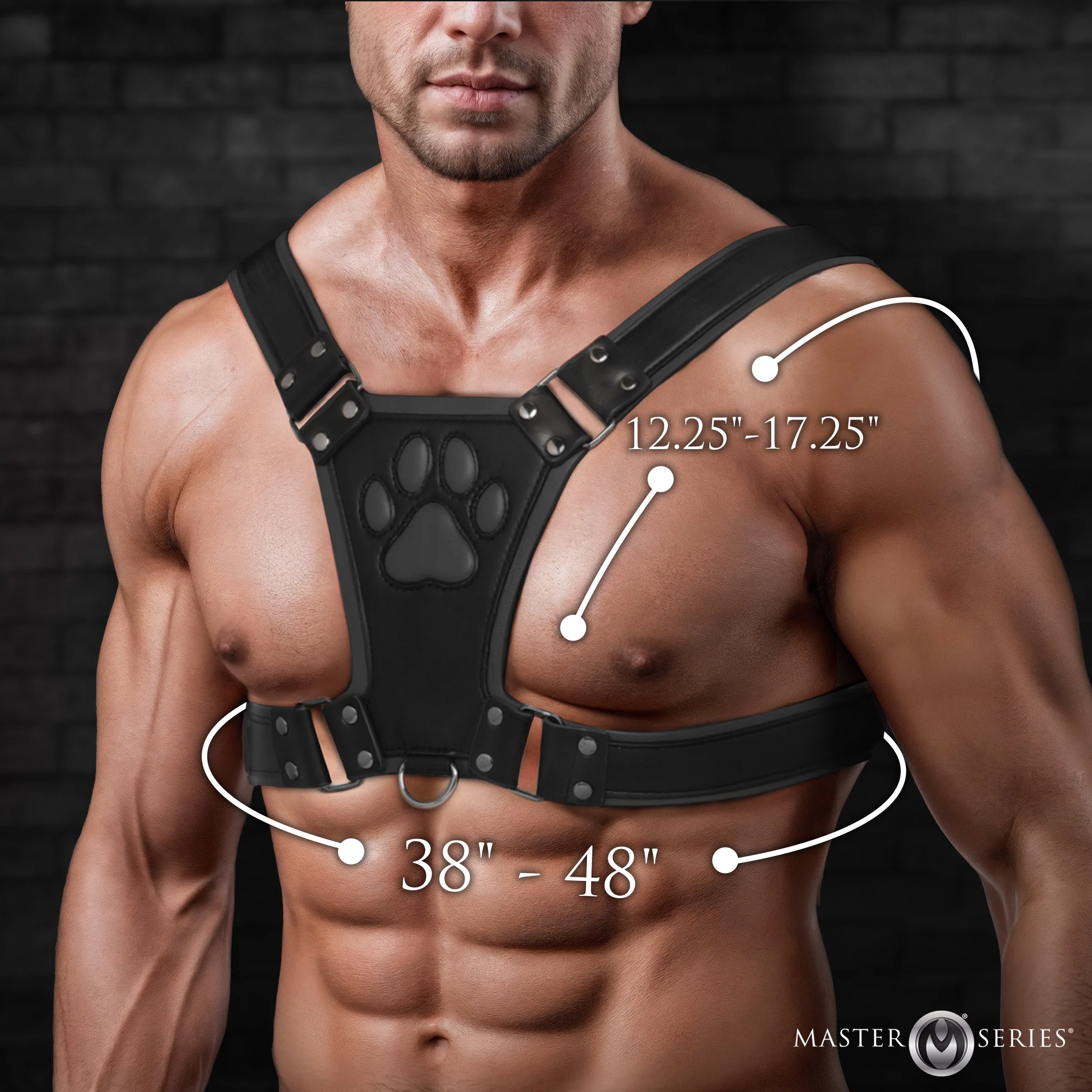Alpha Pup Bulldog Harness - Image 5