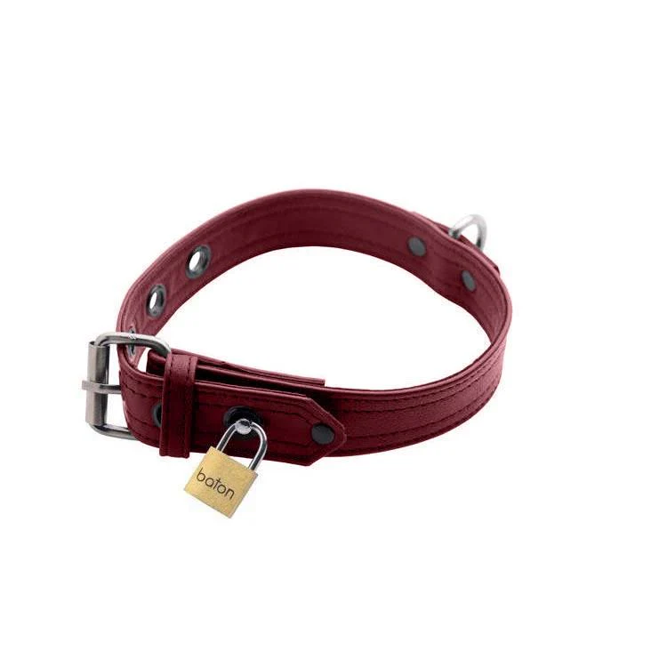 Burgundy Premium Leather Collar and Cuffs - Image 8