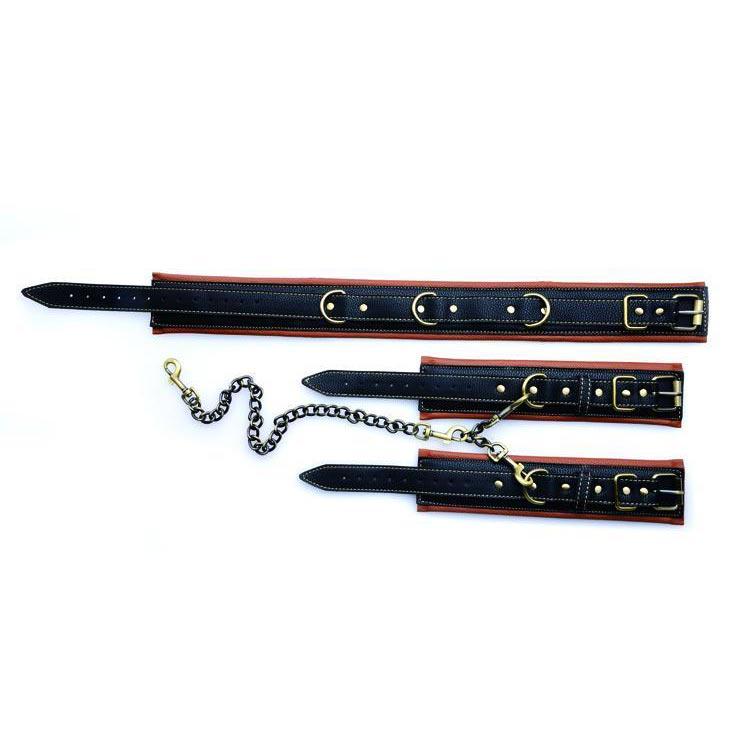 Coax Collar to Wrist Restraints - Image 5