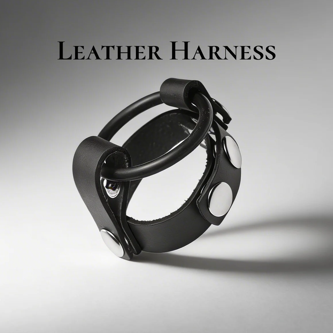 Cock Ring Harness - Image 3