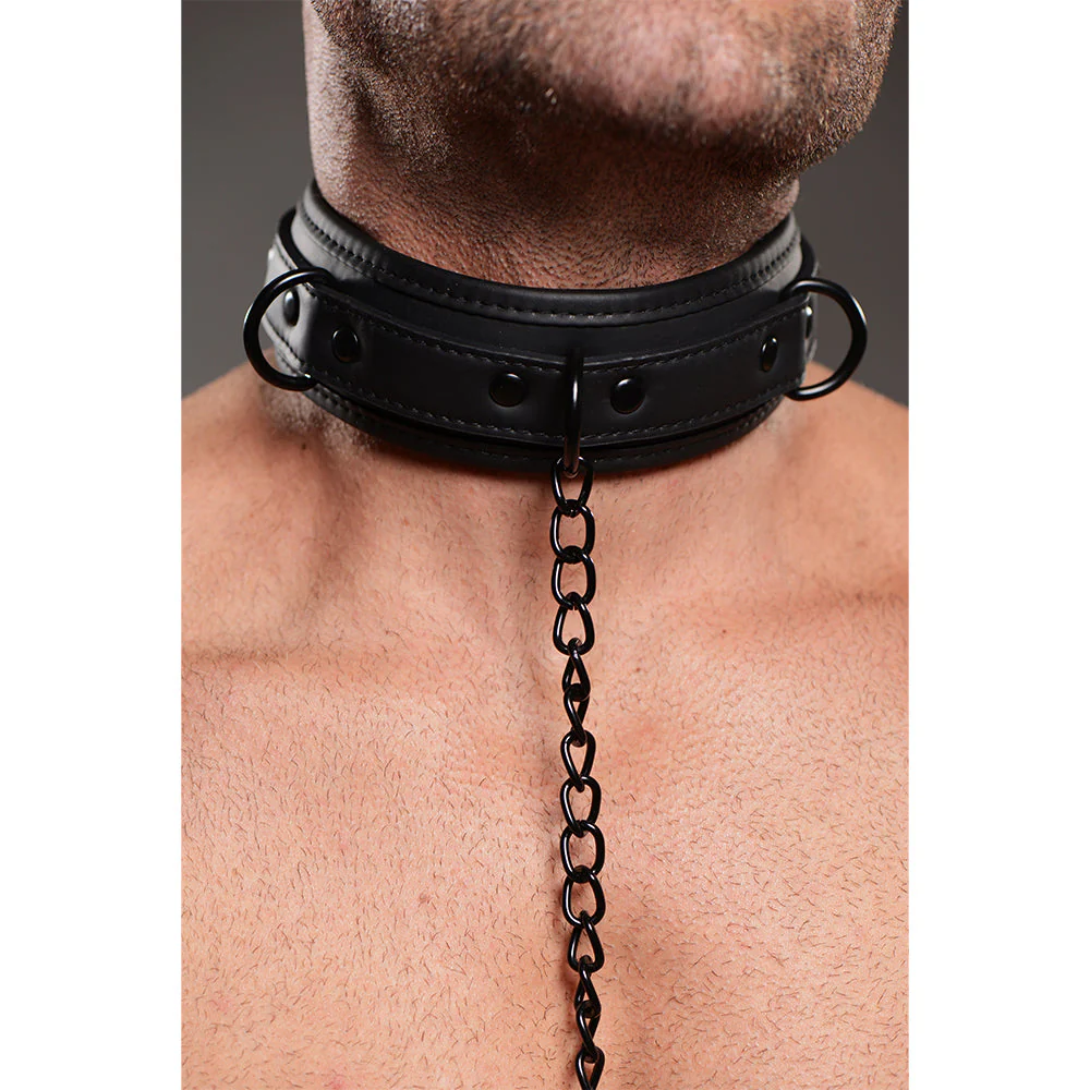 Collared Temptress Collar with Nipple Clamps - Image 5