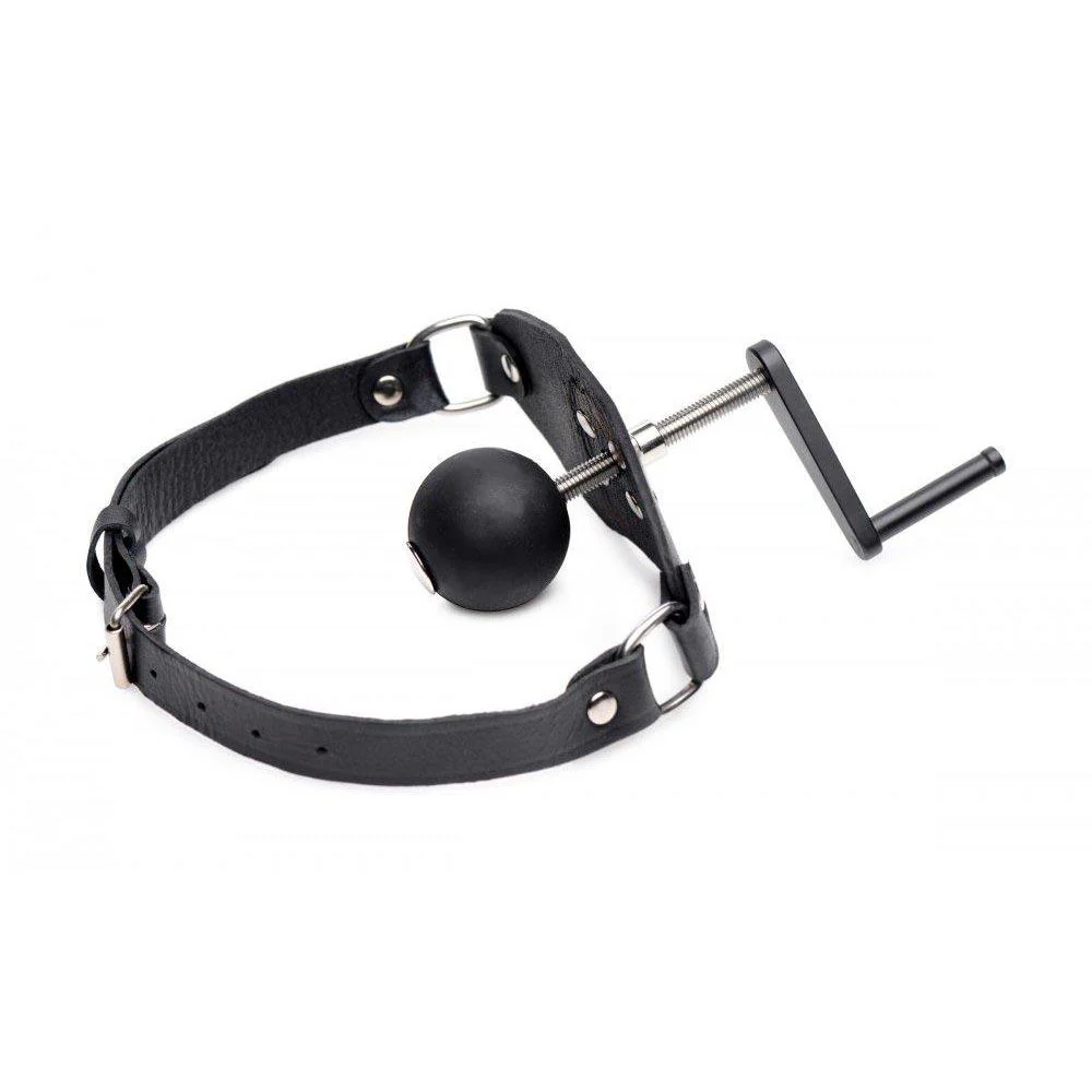 Crank Ball Gag - Image 4