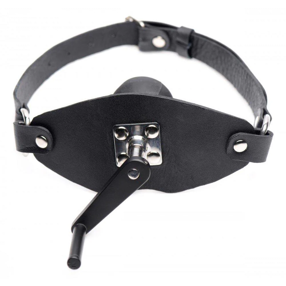 Crank Ball Gag - Image 5