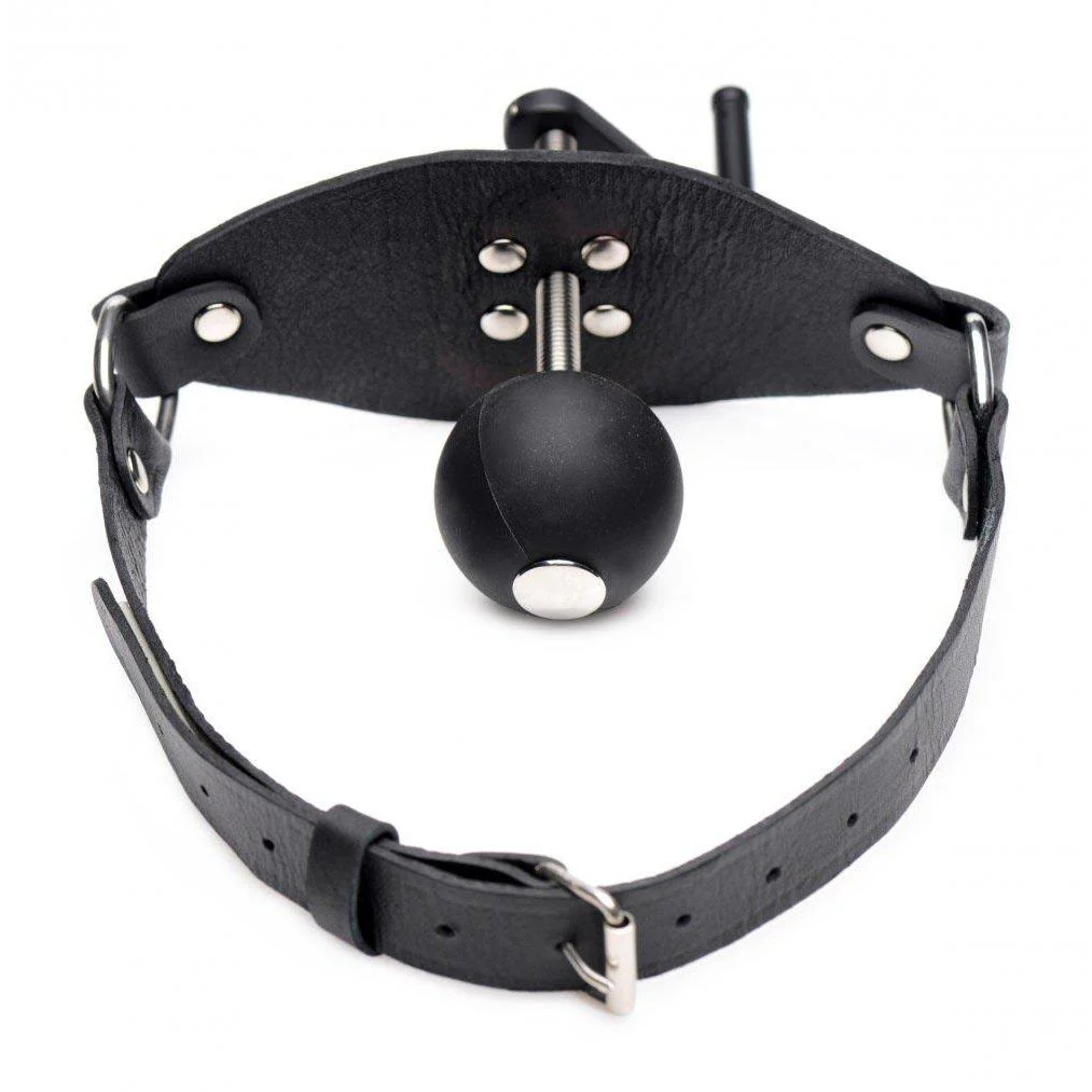 Crank Ball Gag - Image 6