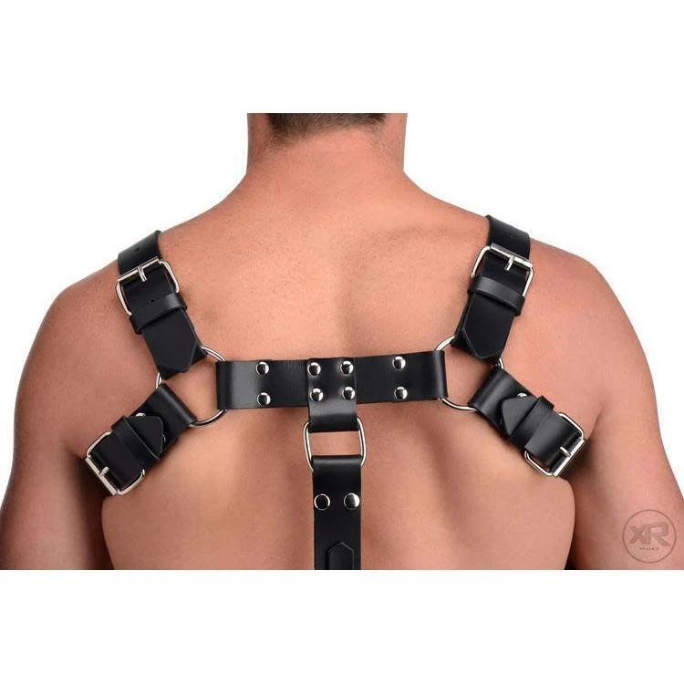 English Bull Dog Harness with Cock Strap - Image 4