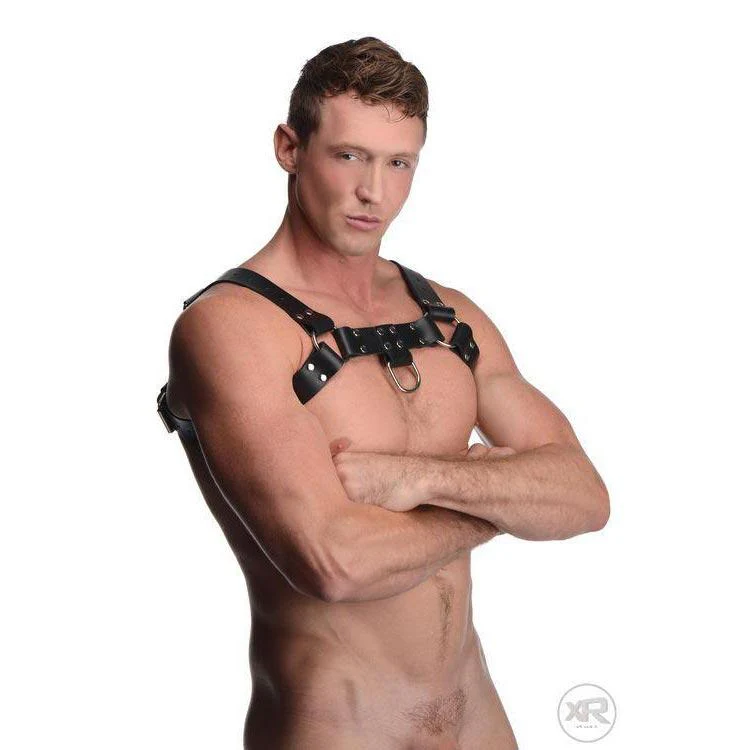 English Bull Dog Harness with Cock Strap - Image 5