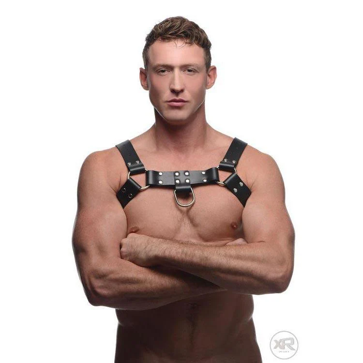 English Bull Dog Harness with Cock Strap - Image 6