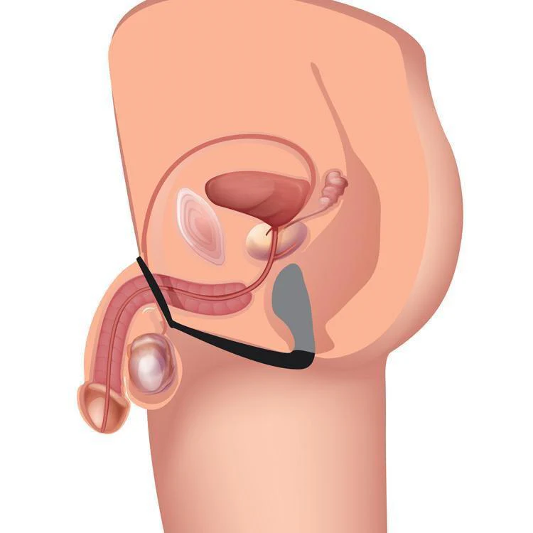 Explorer II Prostate Stimulator and Cock Ring - Image 8