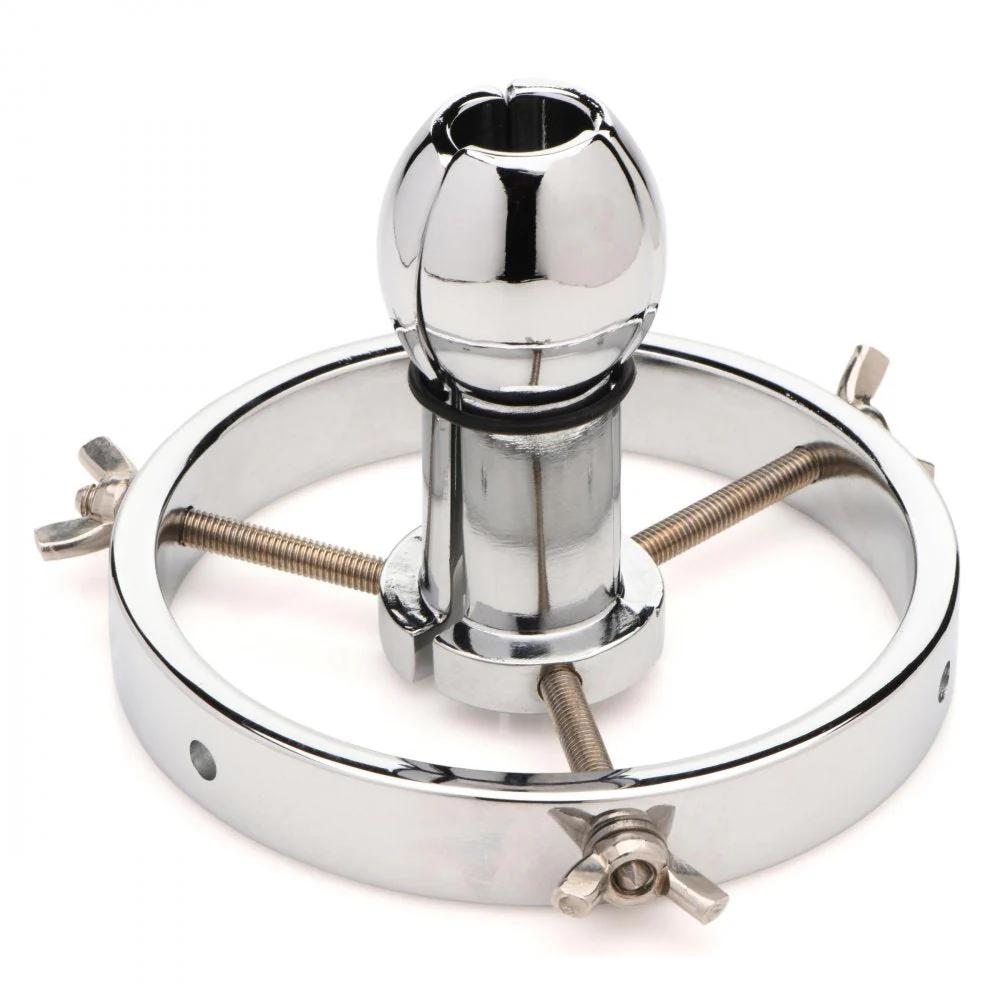Forced Spread Stainless Steel Anal Explorer - Image 6