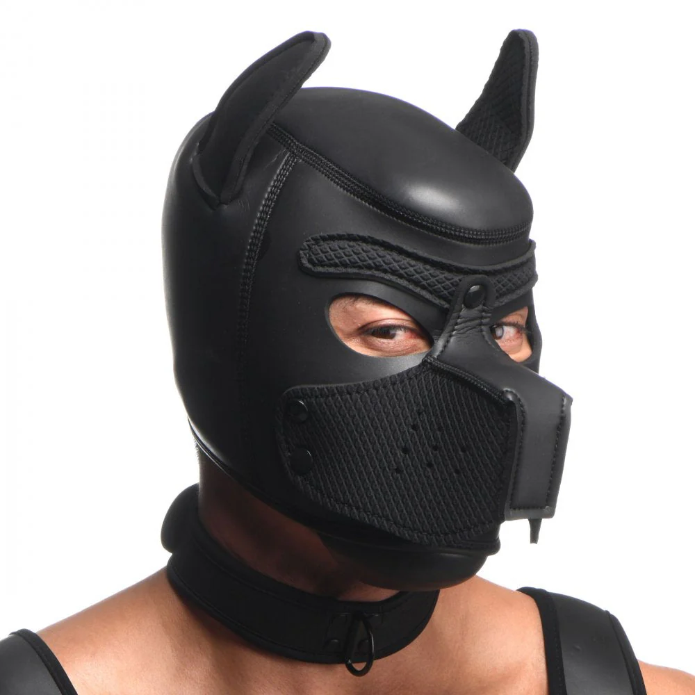Full Pup Arsenal Set - Image 5