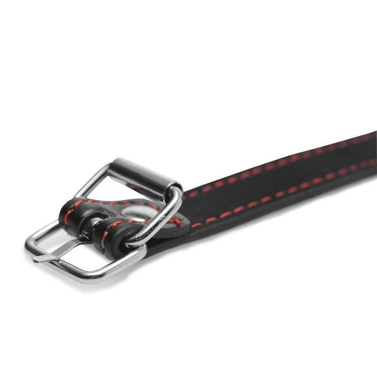 Hound Adjustable Dog Bone Gag - Image 4