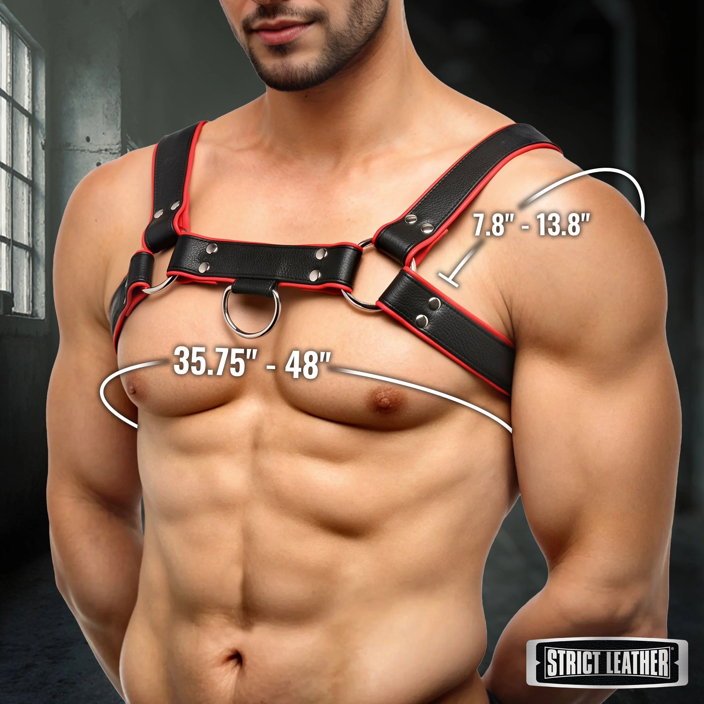 Leather English Bull Dog Harness - Image 4