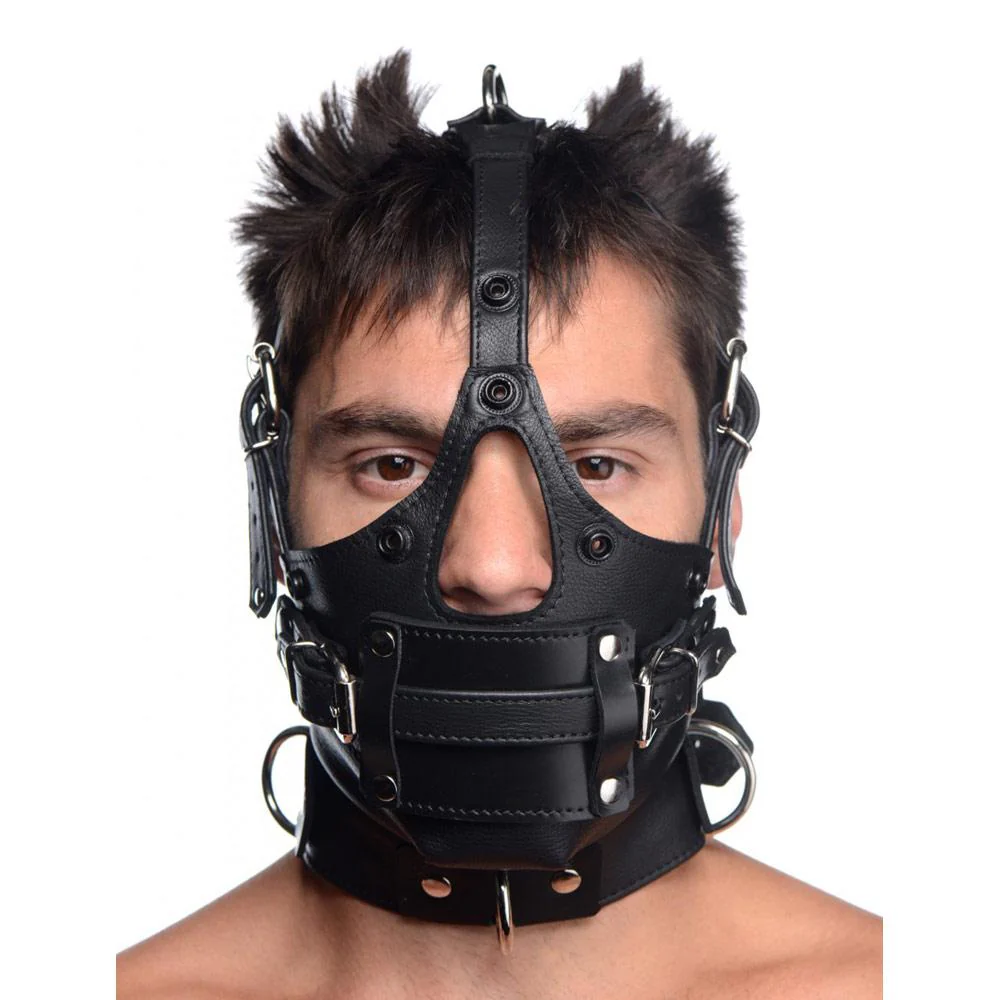 Leather Head Harness with Removeable Gag - Image 2