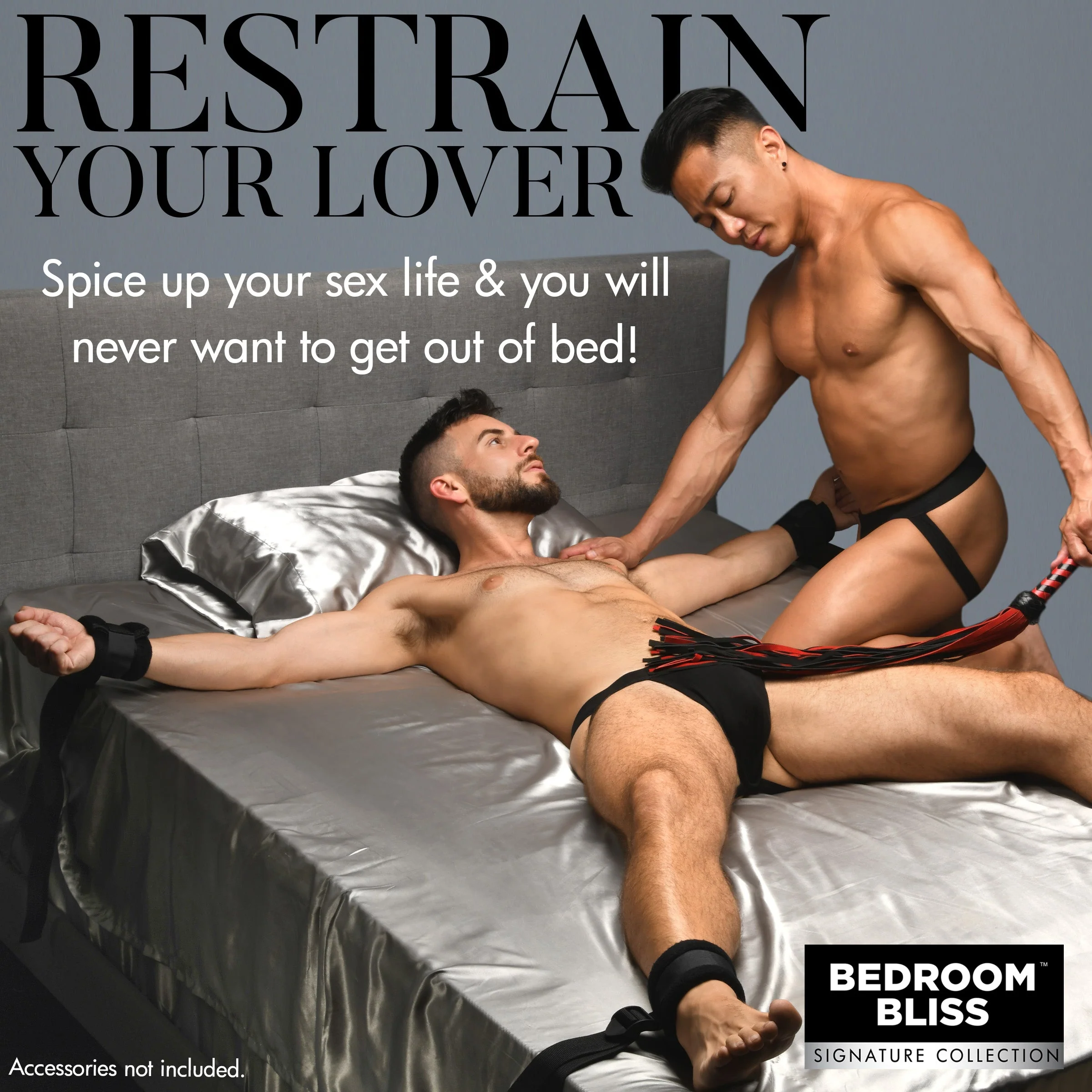 Lover's Bed Restraint System - Image 2