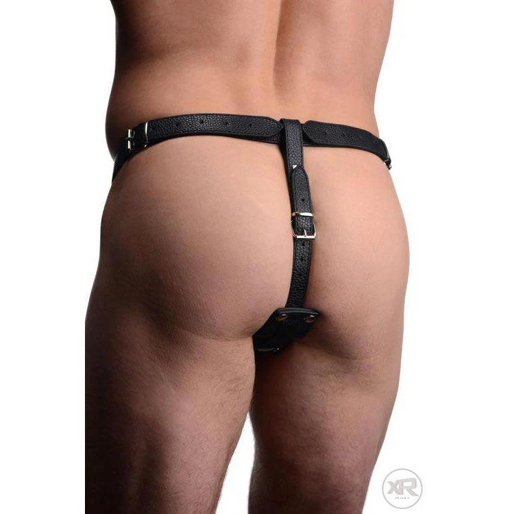 Male Cock Ring Harness with Silicone Anal Plug - Image 6