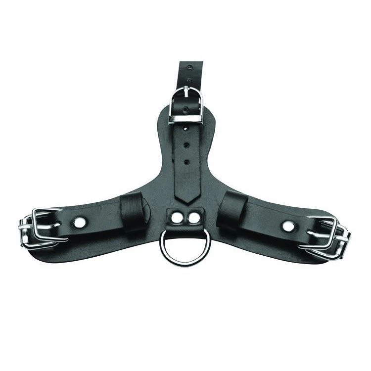 Pup Puppy Play Hood and Breathable Ball Gag - Image 4