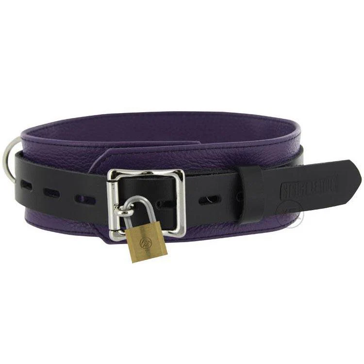 Strict Leather Black and Purple Deluxe Locking Collar - Image 4