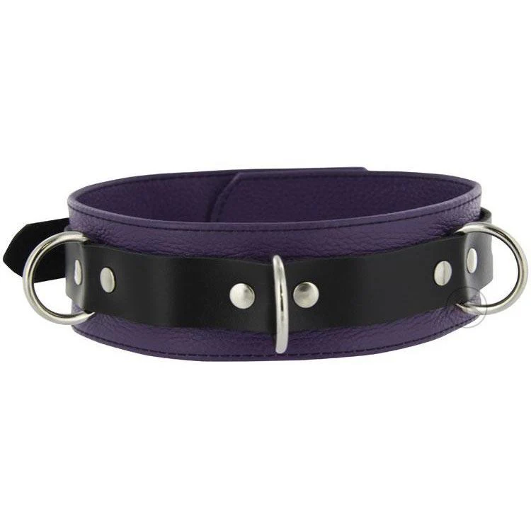 Strict Leather Black and Purple Deluxe Locking Collar - Image 5