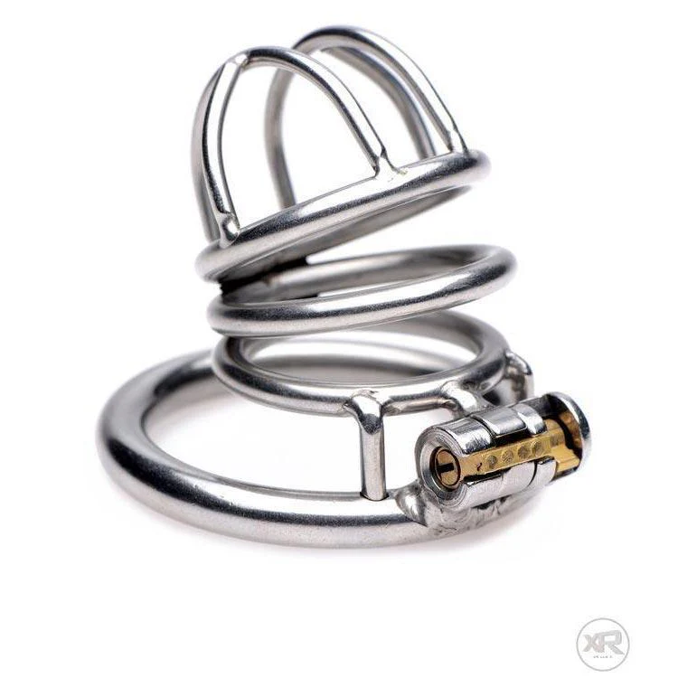 The Pen Deluxe Stainless Steel Locking Chastity Cage - Image 2