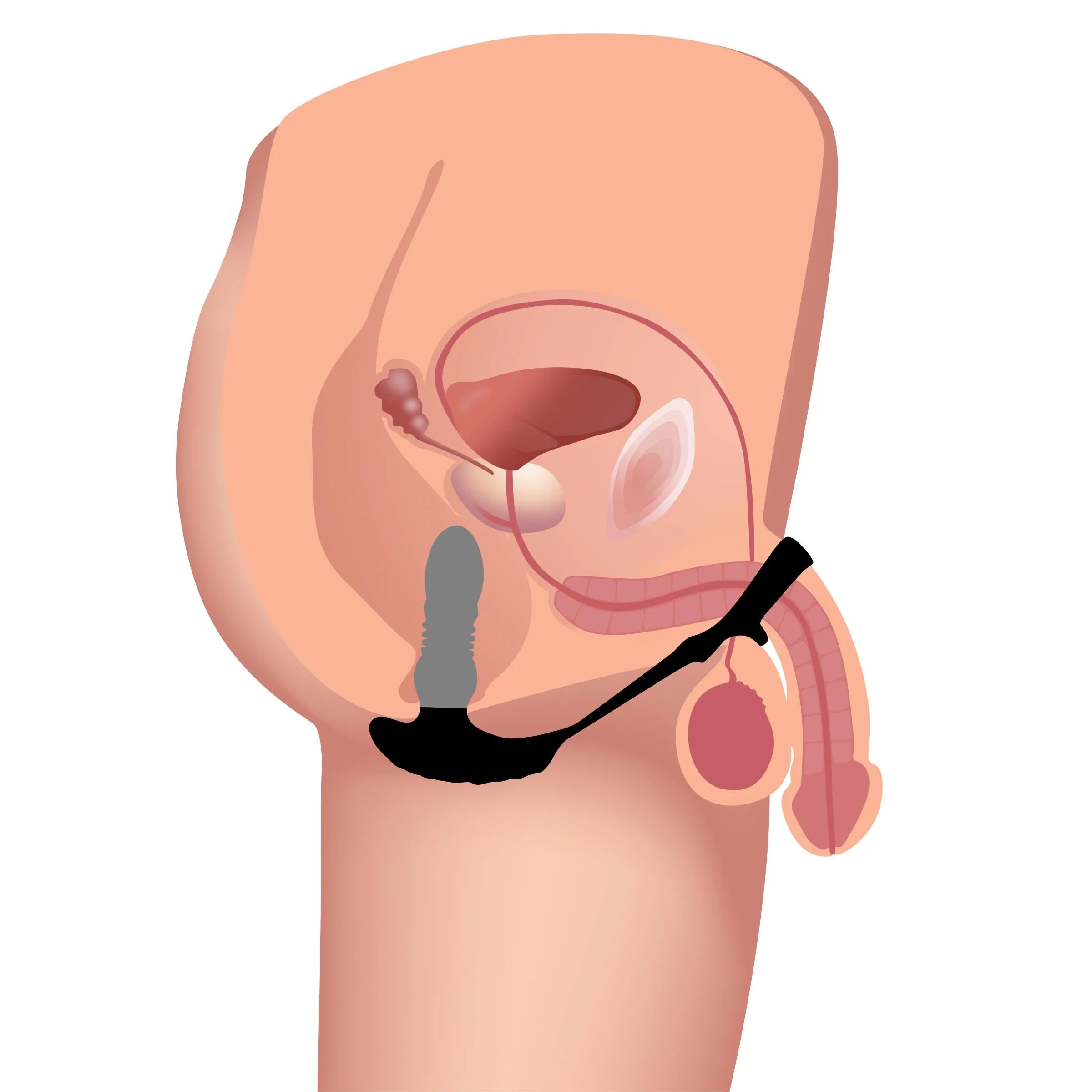 Thrusting Vibrator with Cock and Ball Ring and Remote - Image 3